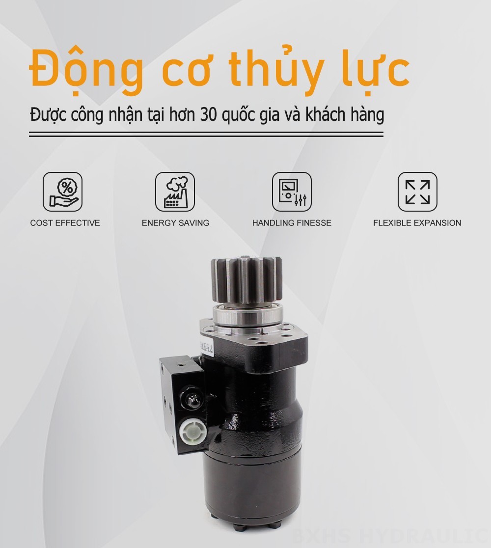 Mô-tơ thủy lực Cycloid BMR 50 cc/vòng 38 L/phút Mô tơ thủy lực